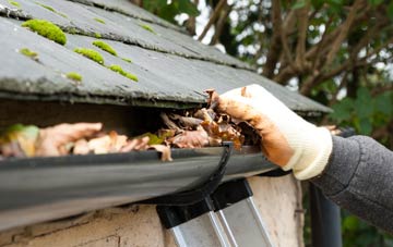 gutter cleaning Hinton